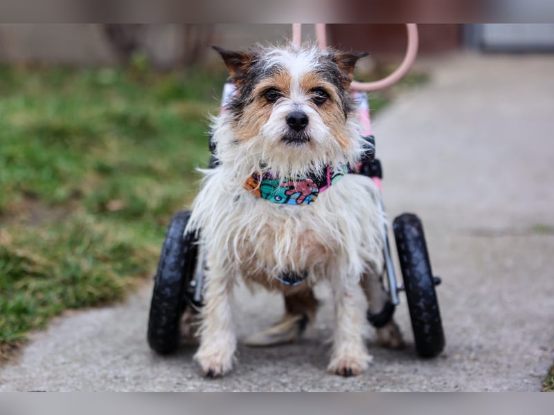 ❤️ Fifi, zauberhaftes Handicap Mädchen