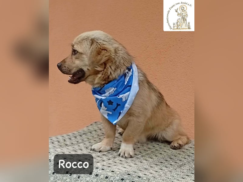 Rocco – Das Leben wartet nicht. Es will entdeckt werden!