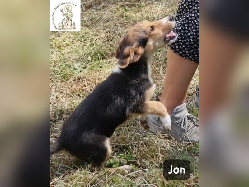 Jon – Kleine Pfoten, große Pläne & ein Herz voller Neugier!