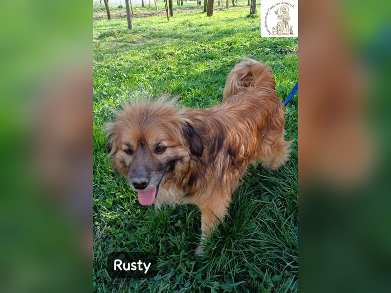 Rusty – Profi im Glücklichsein!