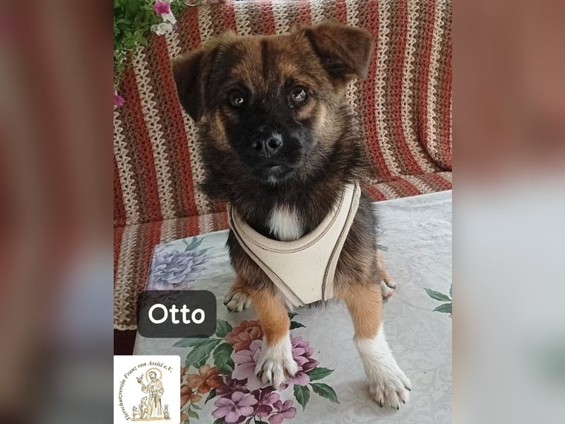 Otto – Das Beste beginnt oft mit einem kleinen Abenteuer!