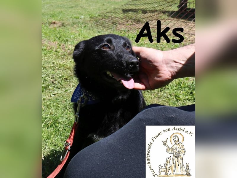 Aks – Schritt für Schritt ins große Glück