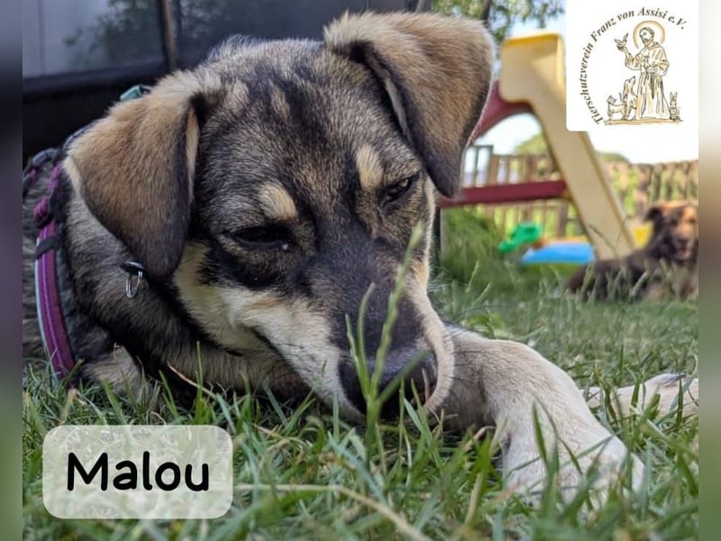 Malou – groß werden kann jeder. Großartig werden wir gemeinsam!