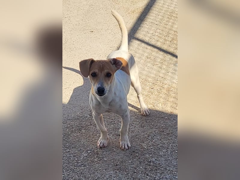 CHUPA ❤️ kleiner Schatz sucht Menschen mit Herz