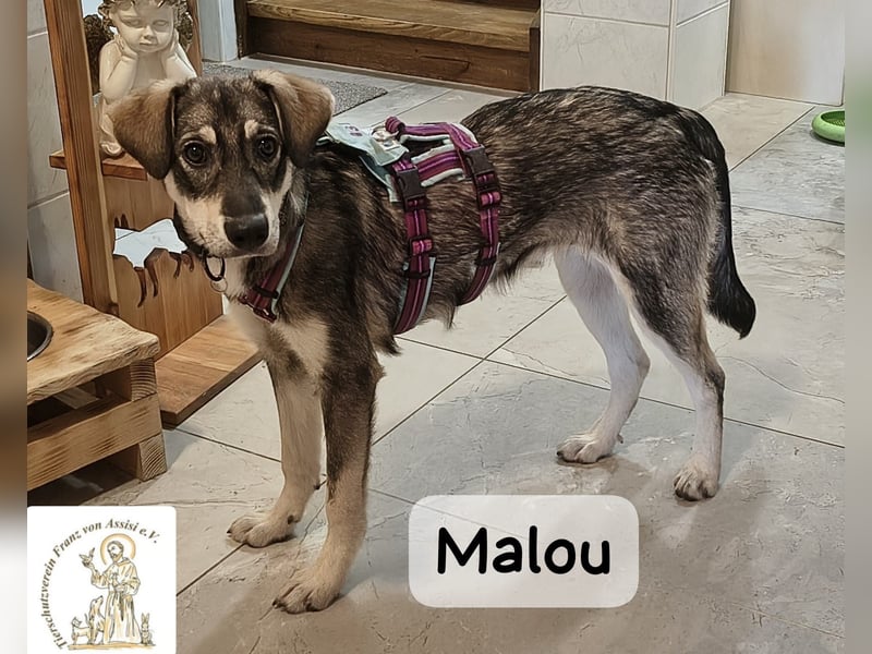 Malou – groß werden kann jeder. Großartig werden wir gemeinsam!