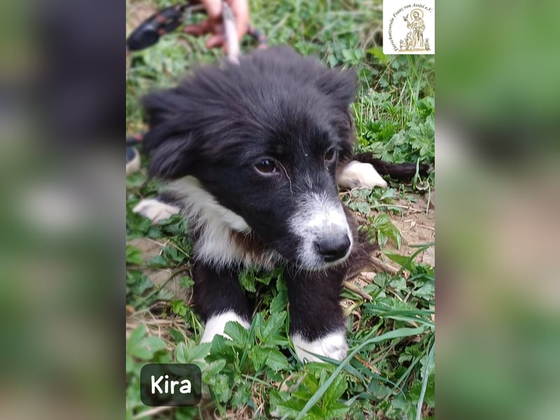 Kira – wenn Leben gerade erst richtig losgeht!