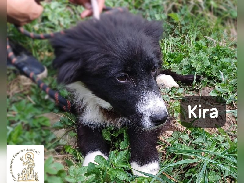 Kira – wenn Leben gerade erst richtig losgeht!