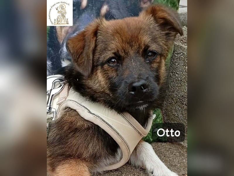 Otto – Das Beste beginnt oft mit einem kleinen Abenteuer!