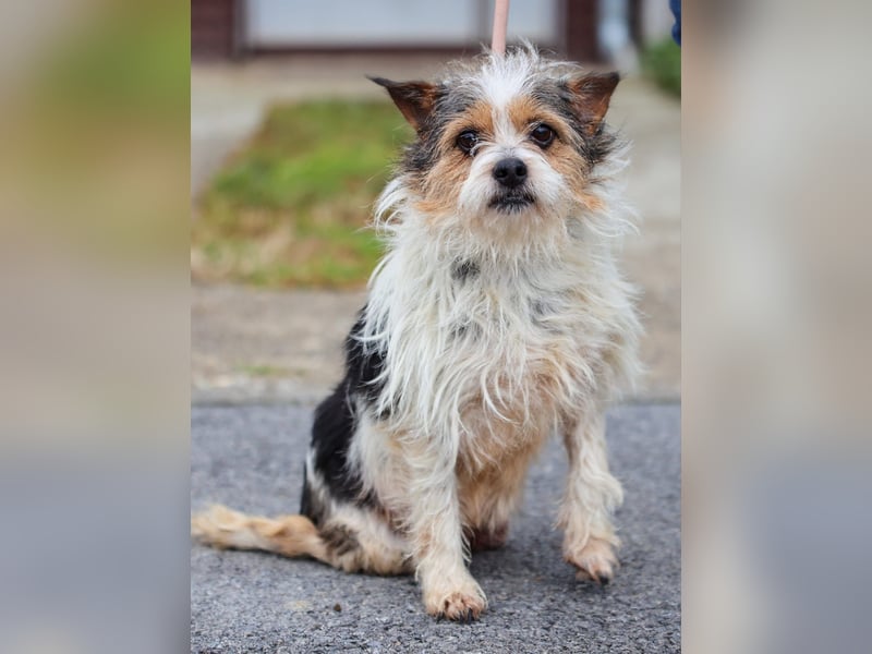 ❤️ Fifi, zauberhaftes Handicap Mädchen