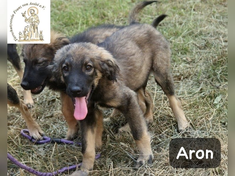Aron – bereit für sein großes Abenteuer!