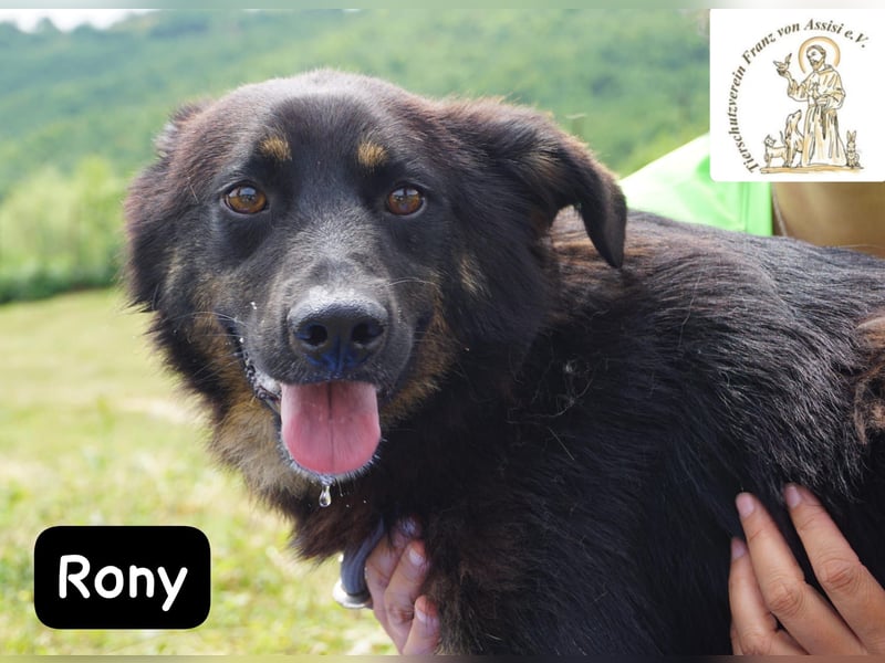 Rony – Kein Draufgänger, sondern ein Freund fürs Leben!