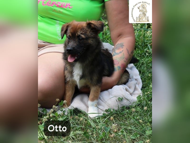 Otto – Das Beste beginnt oft mit einem kleinen Abenteuer!