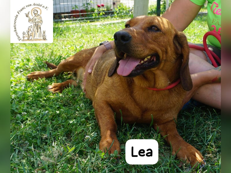 Lea – Bringt keine wilden Abenteuer mit, sondern ein Stück Geborgenheit!