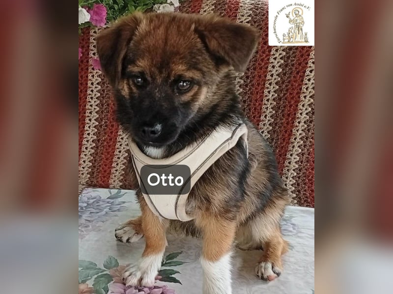 Otto – Das Beste beginnt oft mit einem kleinen Abenteuer!