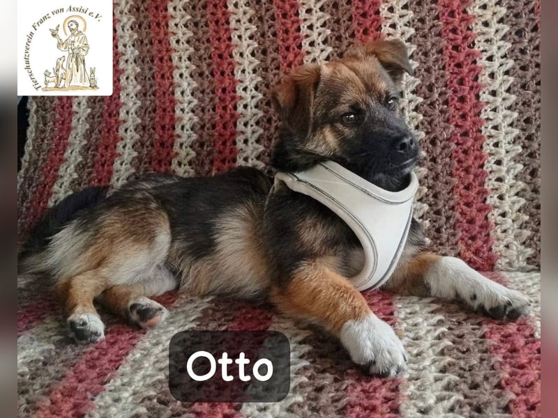 Otto – Das Beste beginnt oft mit einem kleinen Abenteuer!
