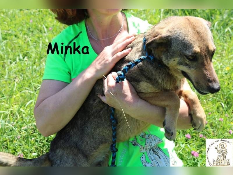 Minka – Kleines Hundemädchen mit einem sanften Herzen!