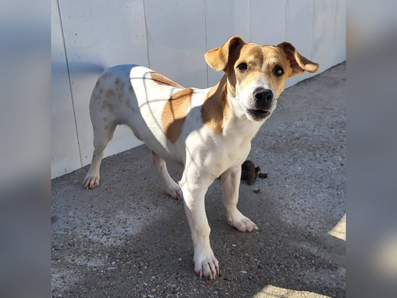 CHUPA ❤️ kleiner Schatz sucht Menschen mit Herz