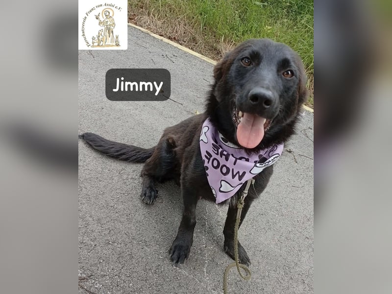 Jimmy – Aufgeben? Kam für ihn nie infrage!