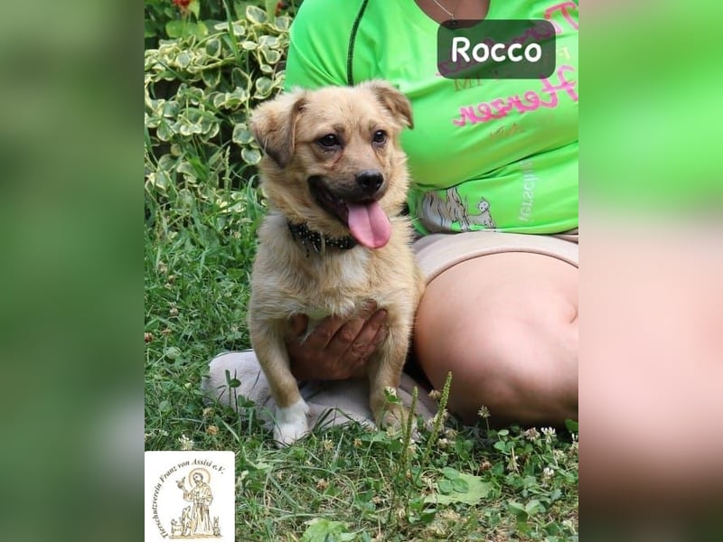 Rocco – das Leben wartet nicht, es will entdeckt werden!