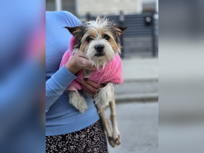 ❤️ Fifi, zauberhaftes Handicap Mädchen