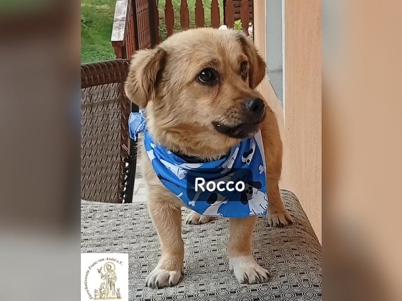 Rocco – Das Leben wartet nicht. Es will entdeckt werden!