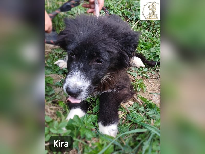 Kira – wenn Leben gerade erst richtig losgeht!