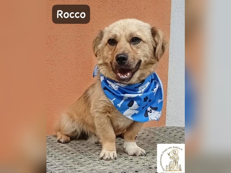 Rocco – Das Leben wartet nicht. Es will entdeckt werden!