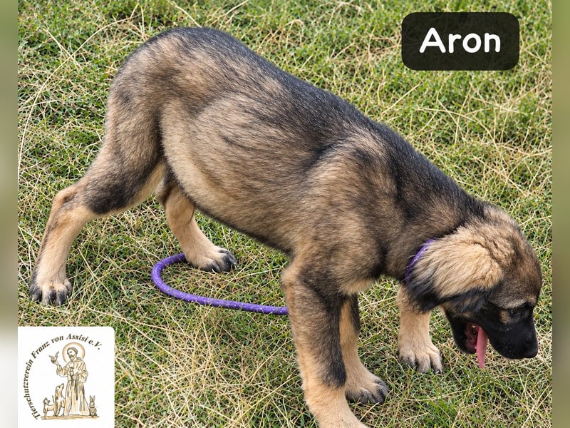 Aron – bereit für sein großes Abenteuer!