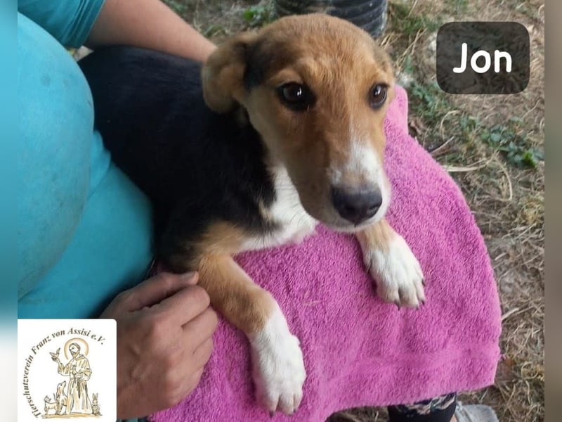 Jon – Kleine Pfoten, große Pläne & ein Herz voller Neugier!