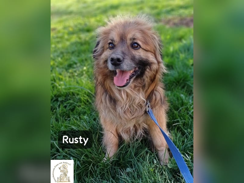 Rusty – Profi im Glücklichsein!