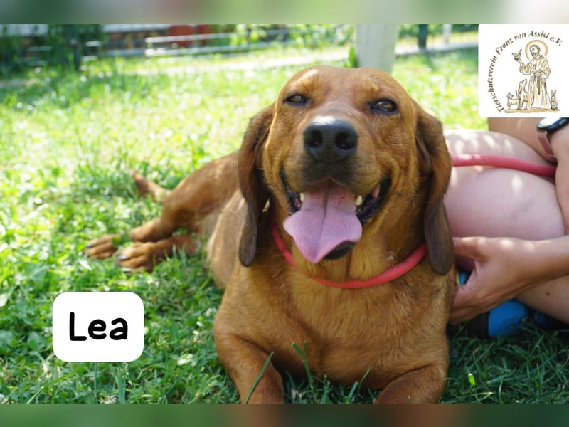 Lea – Bringt keine wilden Abenteuer mit, sondern ein Stück Geborgenheit!