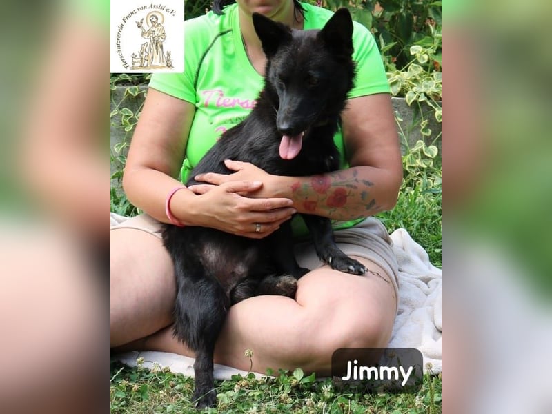 Jimmy – Aufgeben? Kam für ihn nie infrage!