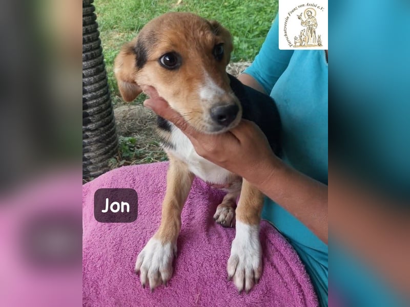 Jon – Kleine Pfoten, große Pläne & ein Herz voller Neugier!