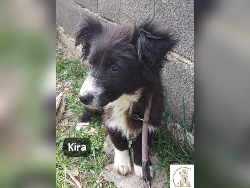 Kira – wenn Leben gerade erst richtig losgeht!