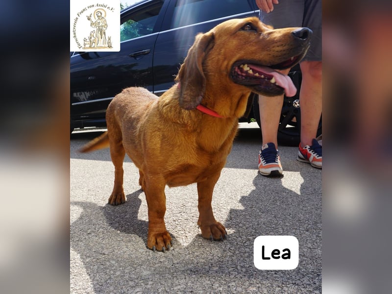 Lea – Bringt keine wilden Abenteuer mit, sondern ein Stück Geborgenheit!