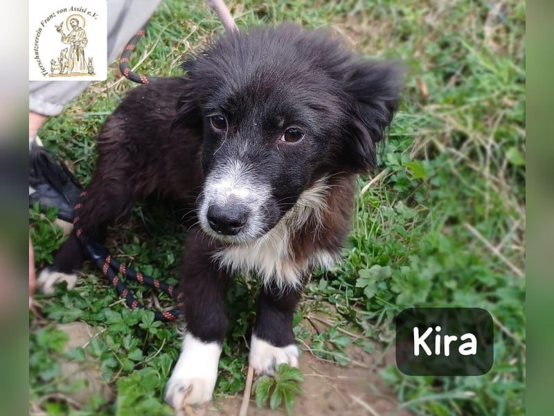 Kira – wenn Leben gerade erst richtig losgeht!