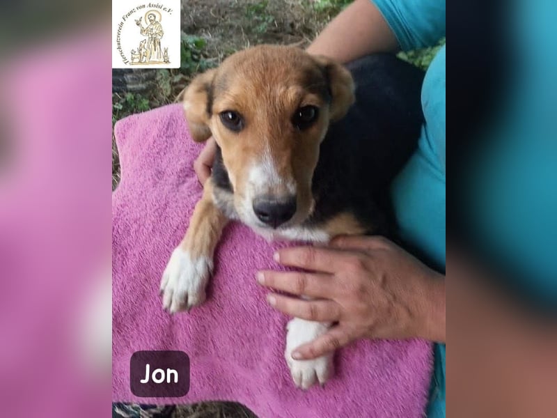 Jon – Kleine Pfoten, große Pläne & ein Herz voller Neugier!