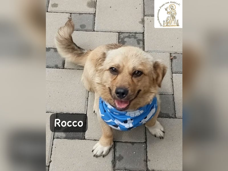 Rocco – Das Leben wartet nicht. Es will entdeckt werden!