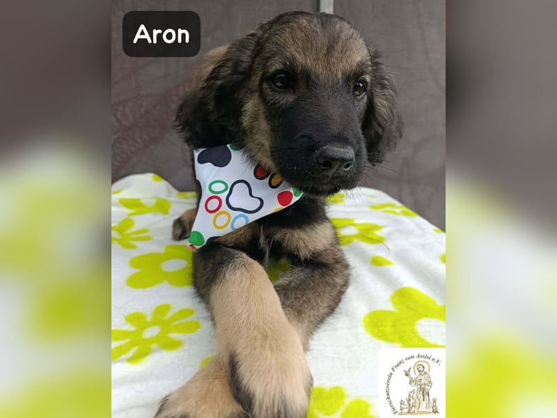 Aron – bereit für sein großes Abenteuer!