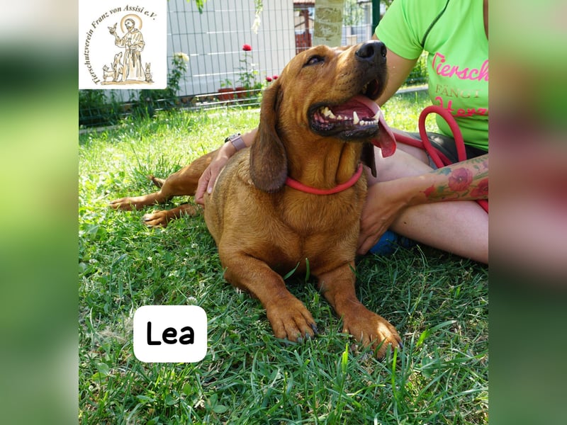Lea – Bringt keine wilden Abenteuer mit, sondern ein Stück Geborgenheit!