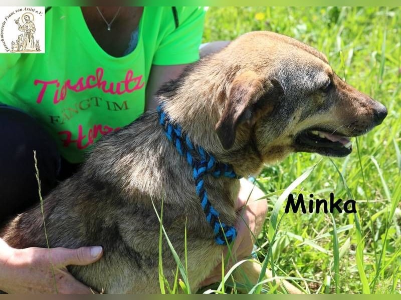 Minka – Kleines Hundemädchen mit einem sanften Herzen!
