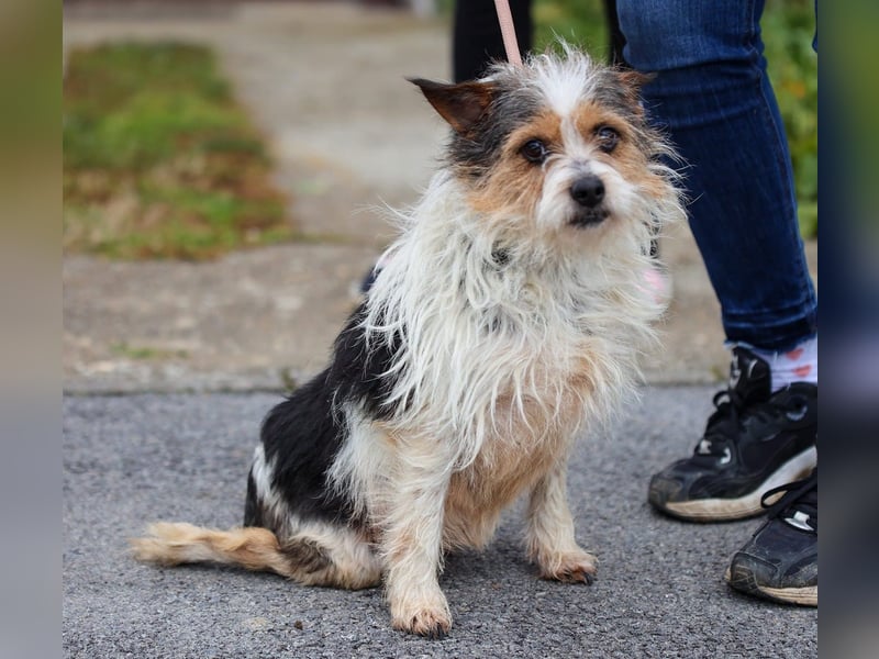 ❤️ Fifi, zauberhaftes Handicap Mädchen