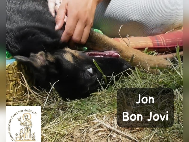 Jon Bon Jovi – voller Flausen, voller Leben!