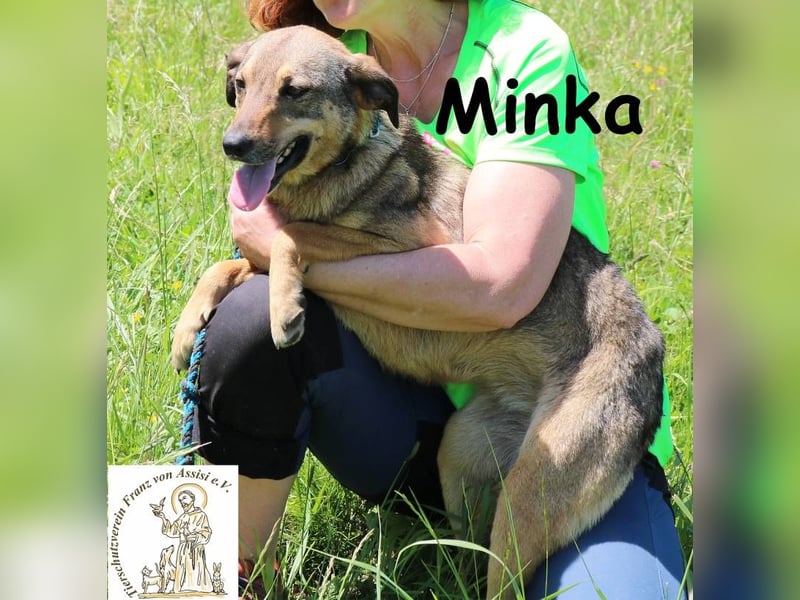 Minka – Kleines Hundemädchen mit einem sanften Herzen!
