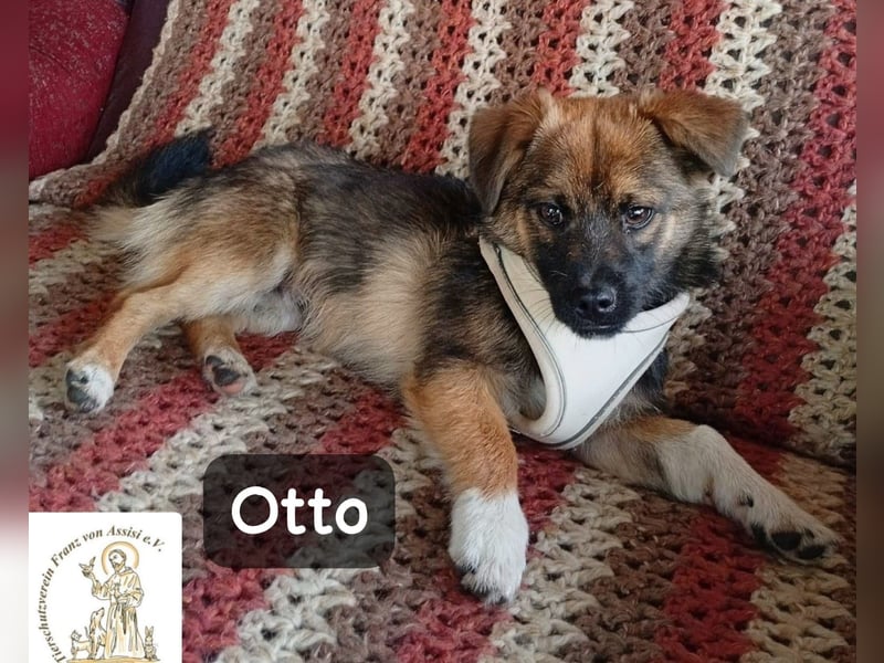 Otto – Das Beste beginnt oft mit einem kleinen Abenteuer!