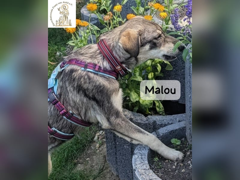 Malou – groß werden kann jeder. Großartig werden wir gemeinsam!