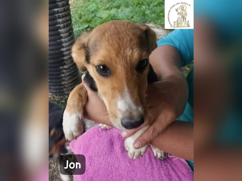 Jon – Kleine Pfoten, große Pläne & ein Herz voller Neugier!