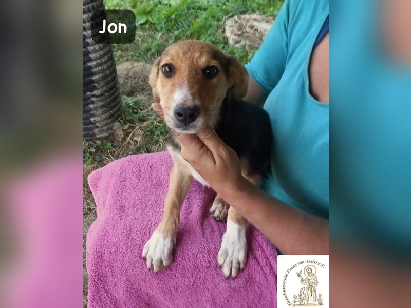 Jon – Kleine Pfoten, große Pläne & ein Herz voller Neugier!