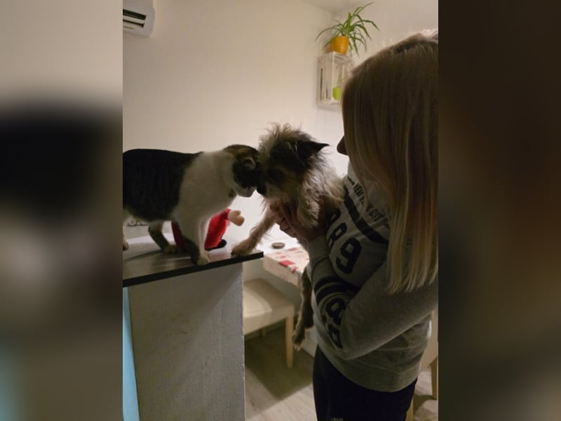 ❤️ Fifi, zauberhaftes Handicap Mädchen