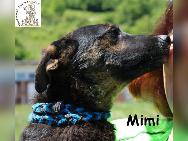 Mimi – Kleiner Wirbelwind auf vier Pfoten!